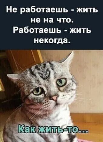 Не работаешь - жить не на что. Работаешь - жить не на что. Как жить-то...