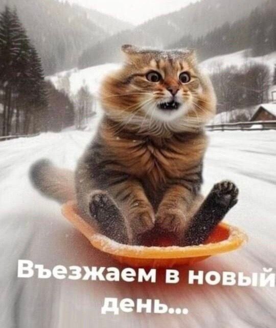 Въезжаем в новый день...