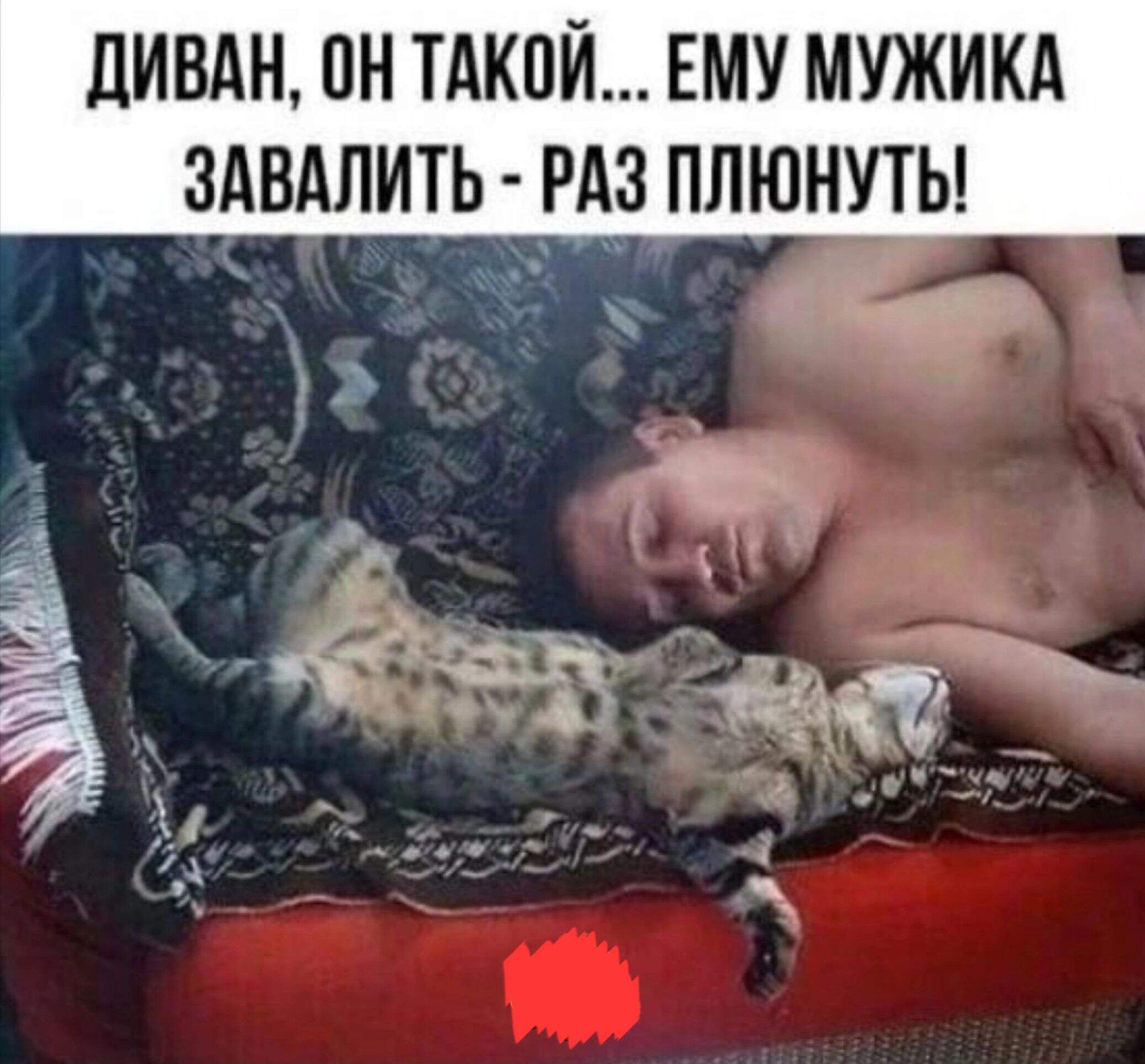 ДИВАН, ОН ТАКОЙ... ЕМУ МУЖИКА ЗАВАЛИТЬ - РАЗ ПЛЮНУТЬ!