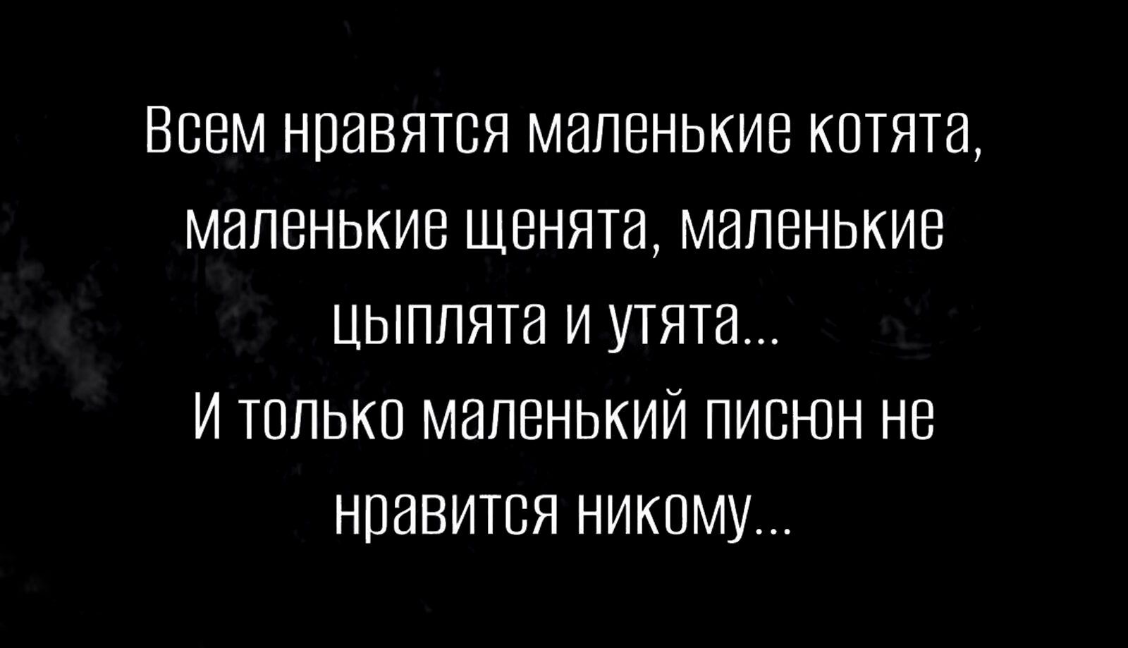 Всем нравится маленькие котята, маленькие щенята, маленькие цыпляята и утята... И только маленький писюн не нравится никому...