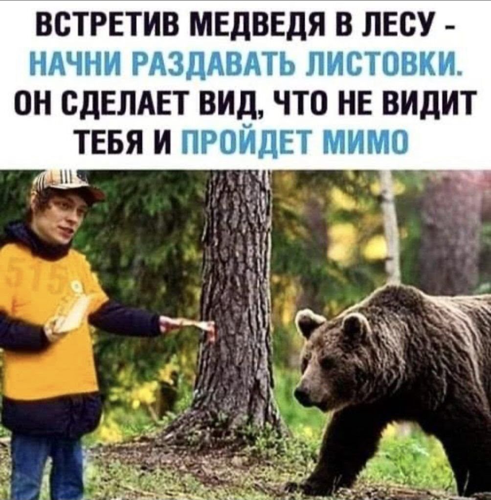 ВСТРЕТИВ МЕДВЕДЯ В ЛЕСУ - НАЧНИ РАЗДАВАТЬ ЛИСТОВКИ. ОН СДЕЛАЕТ ВИД, ЧТО НЕ ВИДИТ ТЕБЯ И ПРОЙДЕТ МИМО