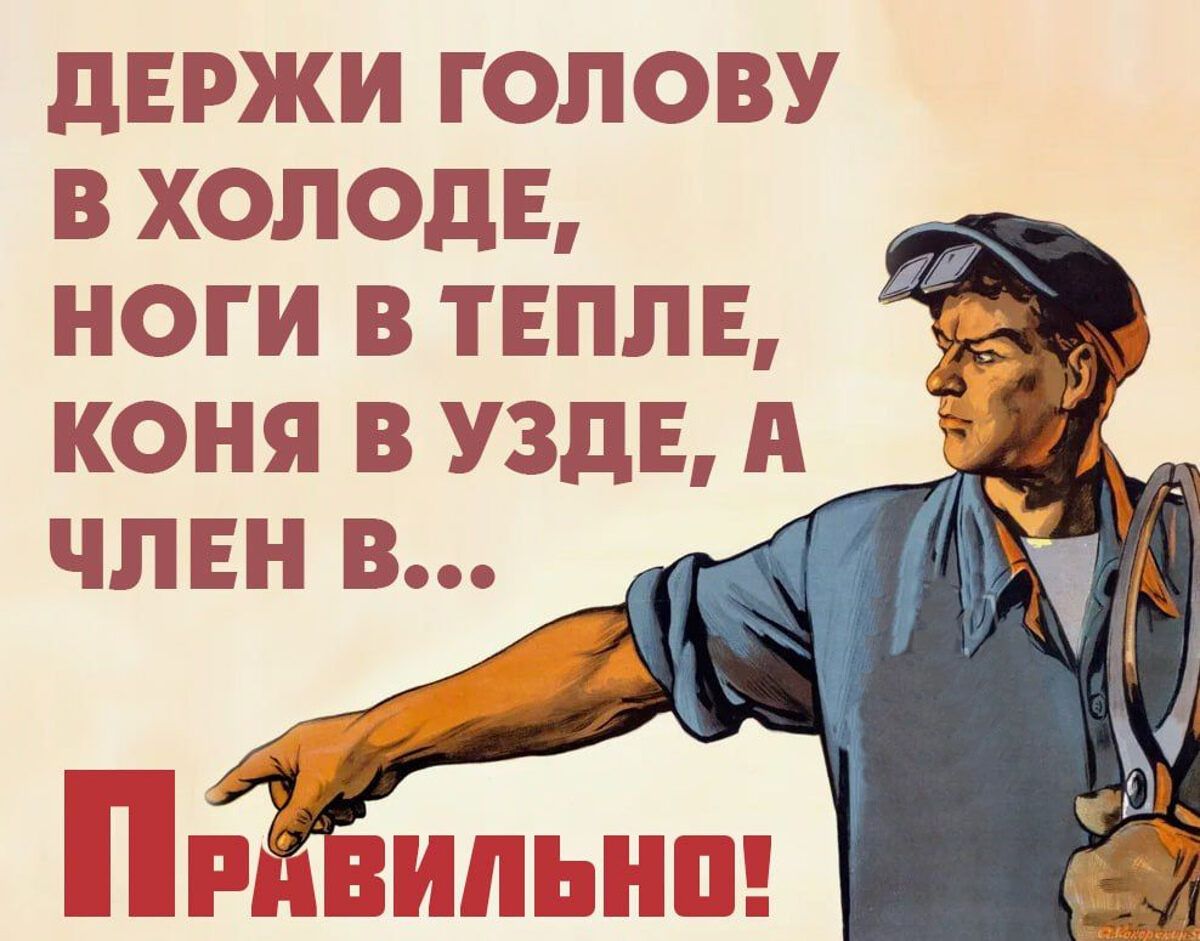 ДЕРЖИ ГОЛОВУ В ХОЛОДЕ, НОГИ В ТЕПЛЕ, КОНЯ В УЗДЕ, А ЧЛЕН В... Правильно!