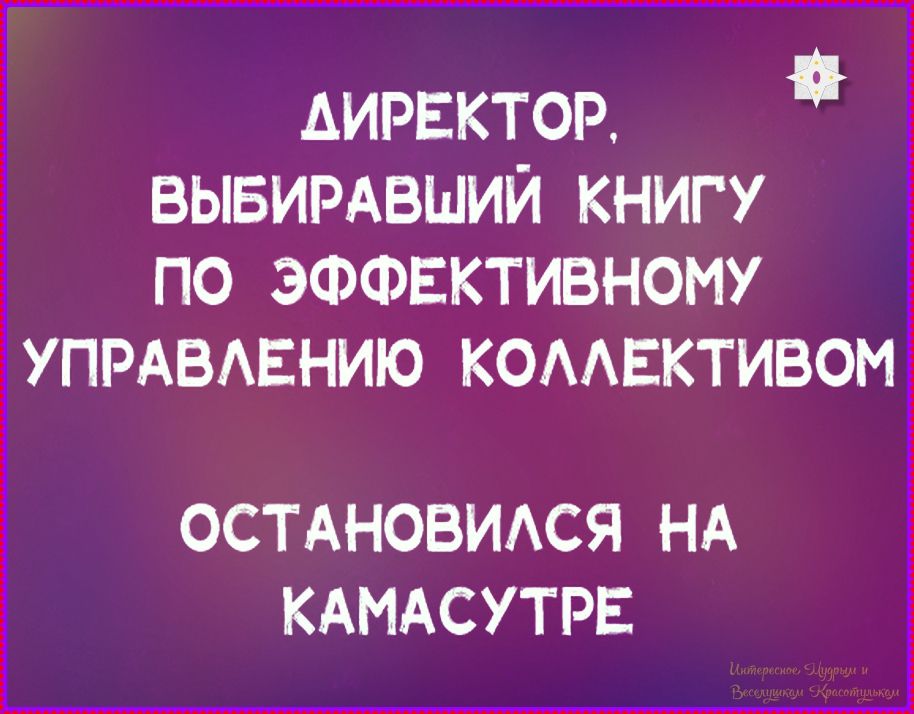 ДИРЕКТОР, ВЫБИРАВШИЙ КНИГУ ПО ЭФФЕКТИВНОМУ УПРАВЛЕНИЮ КОЛЛЕКТИВОМ ОСТАНОВИЛСЯ НА КАМАСУТРЕ