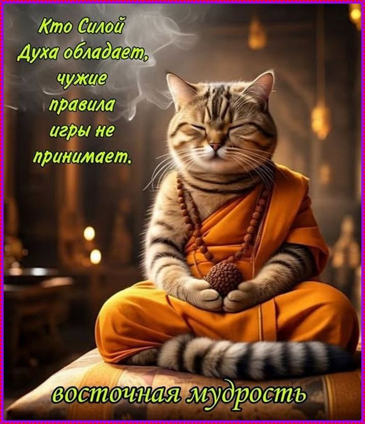 Кто Силной Духа обладает, чужие правила игры не принимает. восточная мудрость