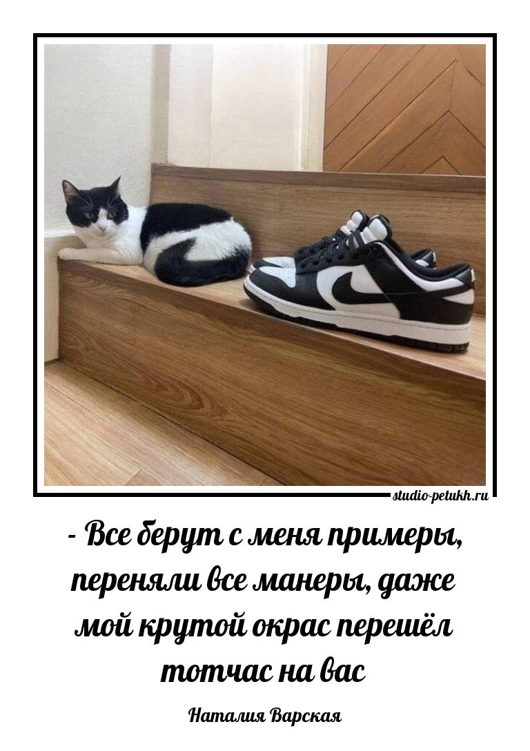 - Все берут со меня примеры, переняли все манеры, даже мой крутой окрас перешёл тотчас на вас — Наталия Варская