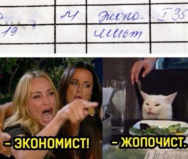 ЭКОНОМИСТ! - ЖОПОЧИСТ