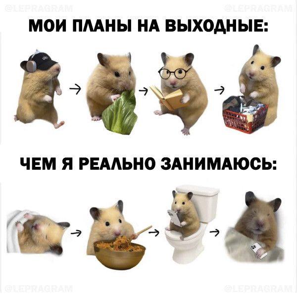 МОИ ПЛАНЫ НА ВЫХОДНЫЕ: ЧЕМ Я РЕАЛЬНО ЗАНИМАЮСЬ:
