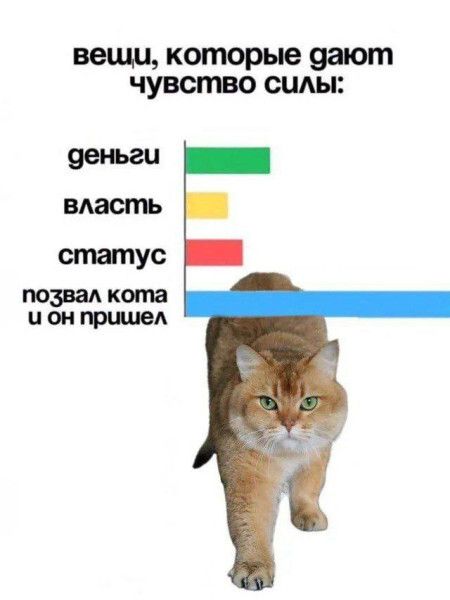 вещи, которые дают чувство силы:\nденьги\nвласть\nстатус\nпозвал кота и он пришел