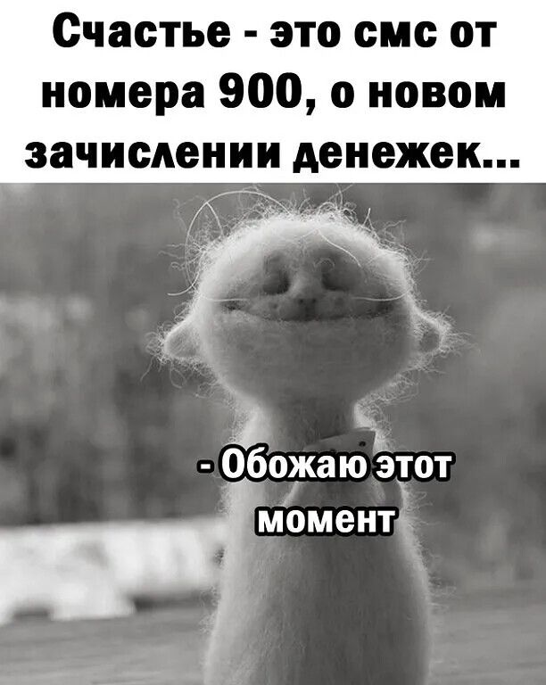 Счастье - это смс от номера 900, о новом зачислении денежек...\n- Обожаю этот момент