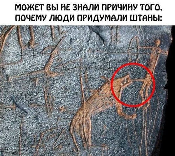 МОЖЕТ ВЫ НЕ ЗНАЛИ ПРИЧИНУ ТОГО, ПОЧЕМУ ЛЮДИ ПРИДУМАЛИ ШТАНЫ: