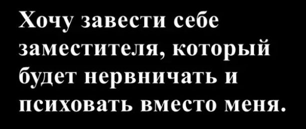 Хочу завести себе заместителя, который будет нервничать и психовать вместо меня.