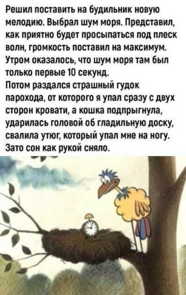 Решил поставить на будильник новую мелодию. Выбрал шум моря. Представил, как приятно будет просыпаться под плеск волн, громкость поставил на максимум. Утром оказалось, что шум моря там был только первые 10 секунд. Потом раздался страшный гудок парохода, от которого я упал сразу с двух сторон кровати, а кошка подпрыгнула, ударилась головой об гладильную доску, свалила утюг, который упал мне на ногу. Зато сон как рукой сняло.