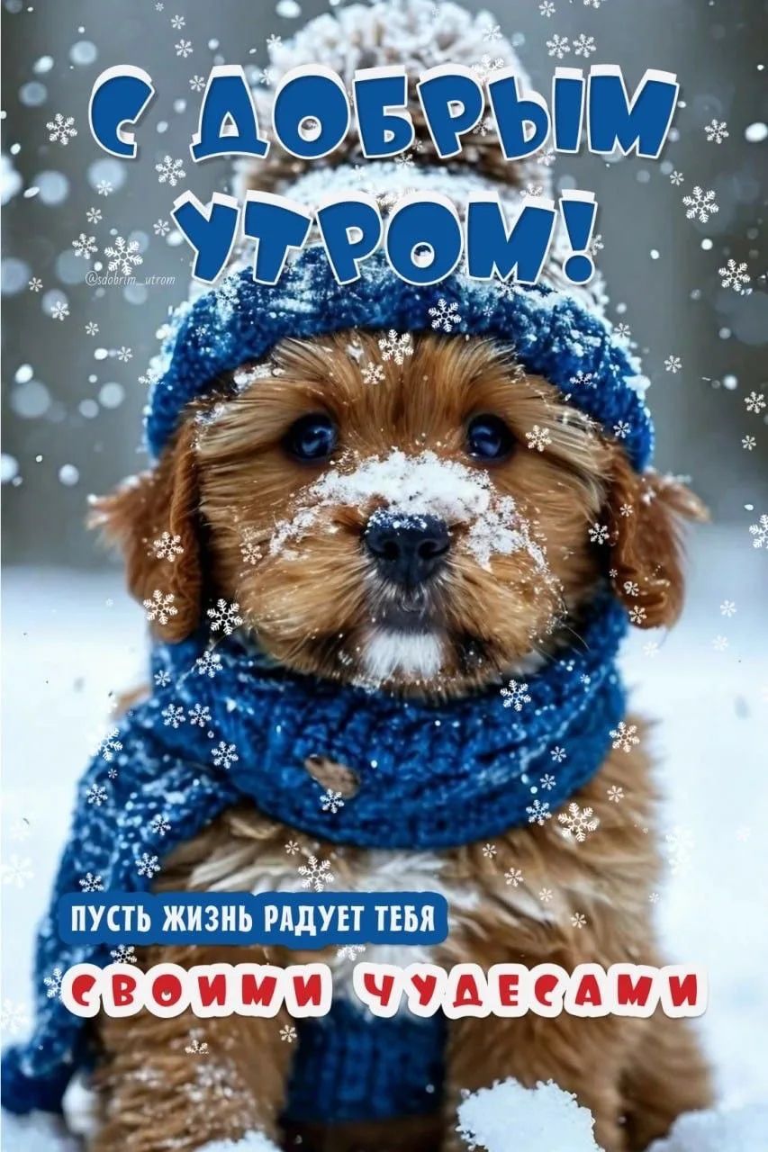 С ДОБРЫМ УТРОМ! Пусть жизнь радует тебя своими чудесами