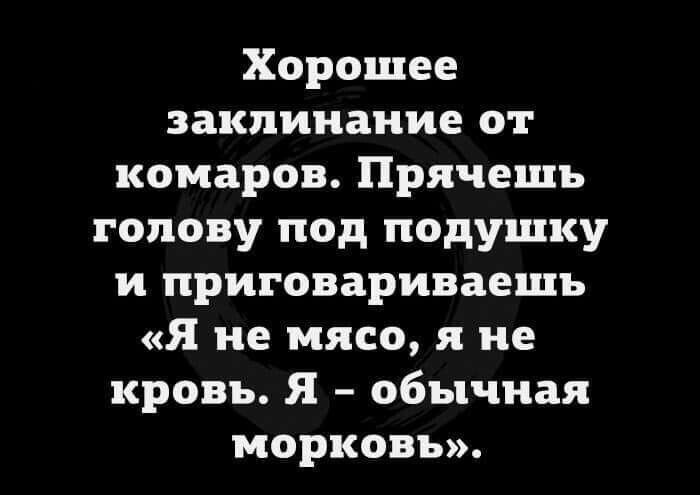Хорошее заклинание от комаров. Прячешь голову под подушку и приговариваешь «Я не мясо, я не кровь. Я – обычная морковка».