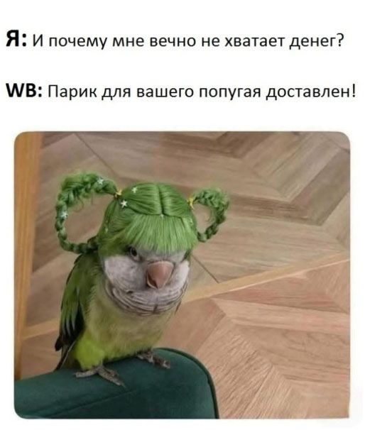Я: И почему мне вечно не хватает денег? WB: Парик для вашего попугая доставлен!