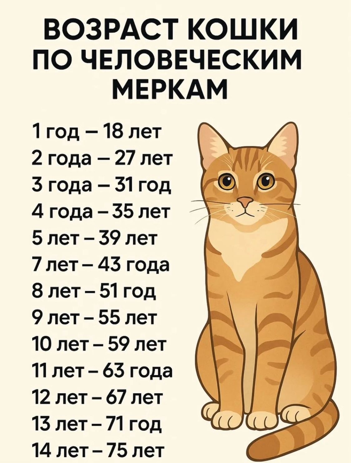 ВОЗРАСТ КОШКИ ПО ЧЕЛОВЕЧЕСКИМ МЕРКАМ\n1 год – 18 лет\n2 года – 27 лет\n3 года – 31 год\n4 года – 35 лет\n5 лет – 39 лет\n7 лет – 43 года\n8 лет – 51 год\n9 лет – 55 лет\n10 лет – 59 лет\n11 лет – 63 года\n12 лет – 67 лет\n13 лет – 71 год\n14 лет – 75 лет