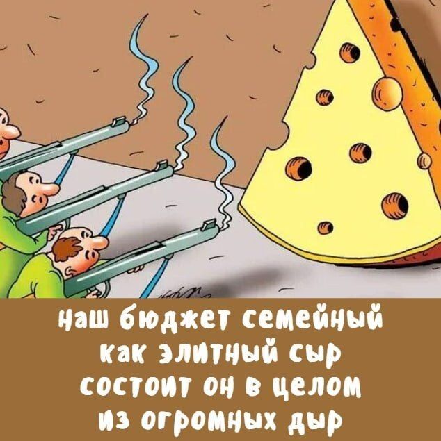 наш бюджет семейный как элитный сыр состоит он в целом из огромных дыр