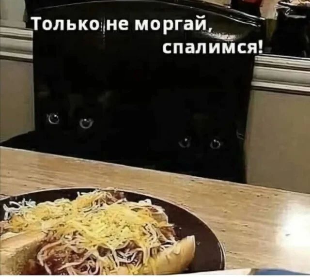 Только не моргай, спалимся!