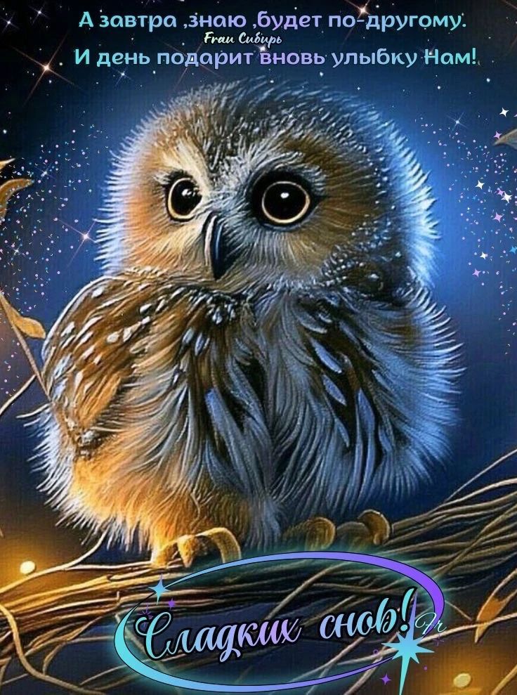А завтра, знаю, будет по-другому. И день подарит вновь улыбку Нам! Сладких снов!