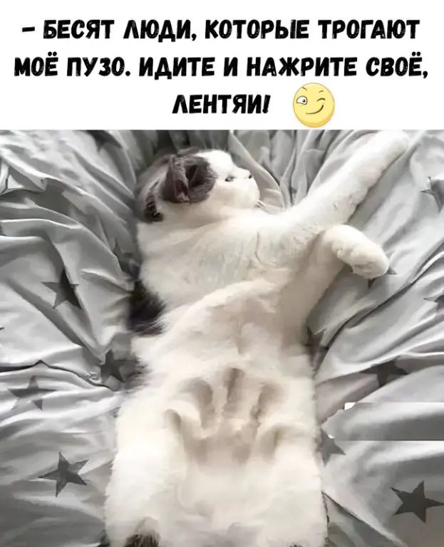 - БЕСЯТ ЛЮДИ, КОТОРЫЕ ТРОГАЮТ МОЁ ПУЗО. ИДИТЕ И НАЖРИТЕ СВОЁ, ЛЕНТЯИ! 😉