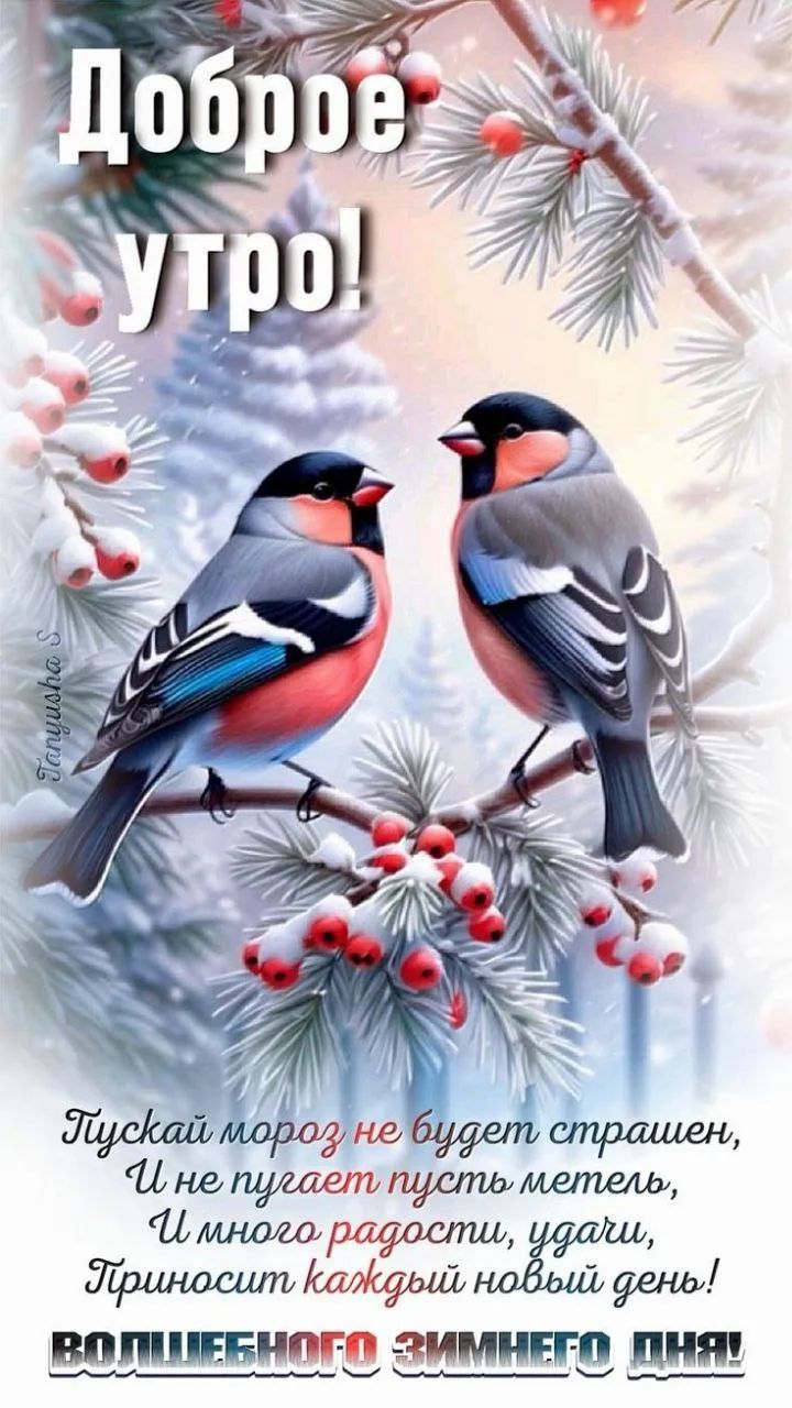 Доброе утро! Пускай мороз не будет страшен, И не пугает пусть метель, И много радости, удачи, Принесет каждый новый день! ВОЛШЕБНОГО ЗИМНЕГО ДНЯ!