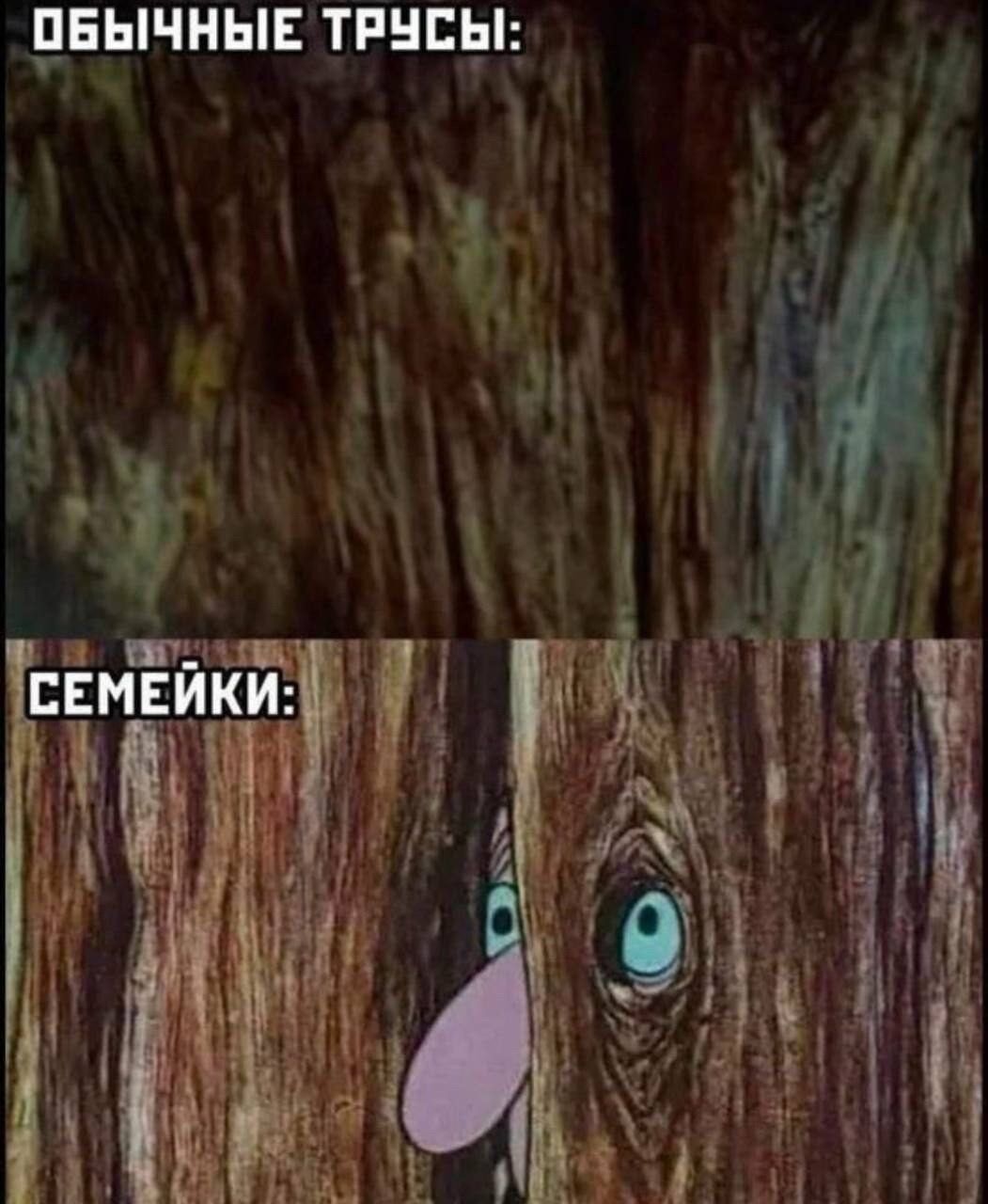 ОБЫЧНЫЕ ТРУСЫ:
СЕМЕЙКИ: