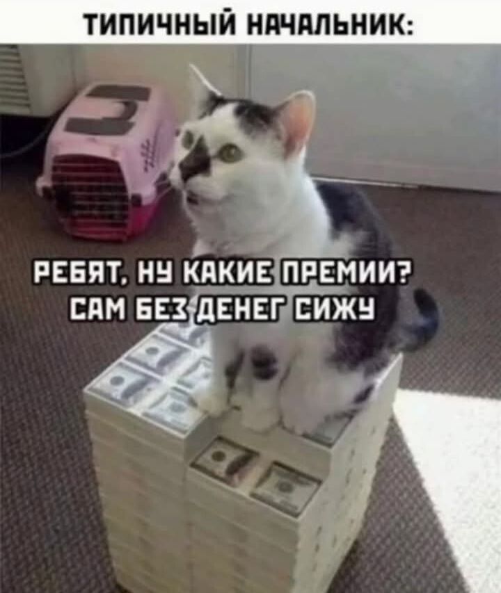ТИПИЧНЫЙ НАЧАЛЬНИК:
РЕБЯТ, НУ КАКИЕ ПРЕМИИ? САМ БЕЗ ДЕНЕГ СИЖУ