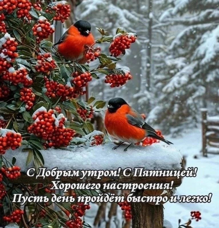 С Добрым утром! С Пятницей! Хорошего настроения! Пусть день пройдёт быстро и легко!