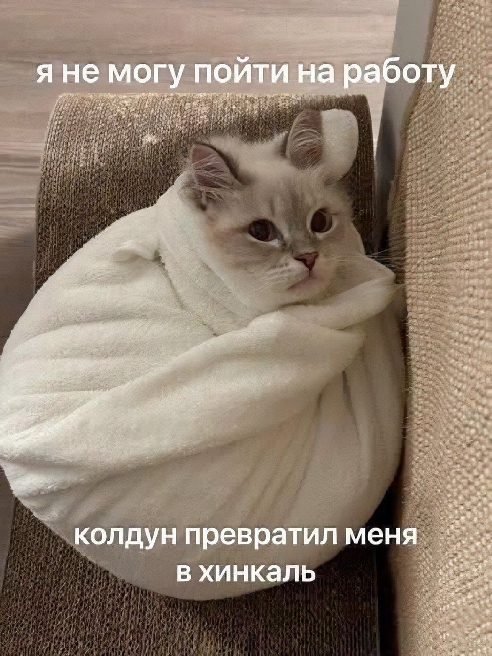 я не могу пойти на работу
колдун превратил меня в хинкал