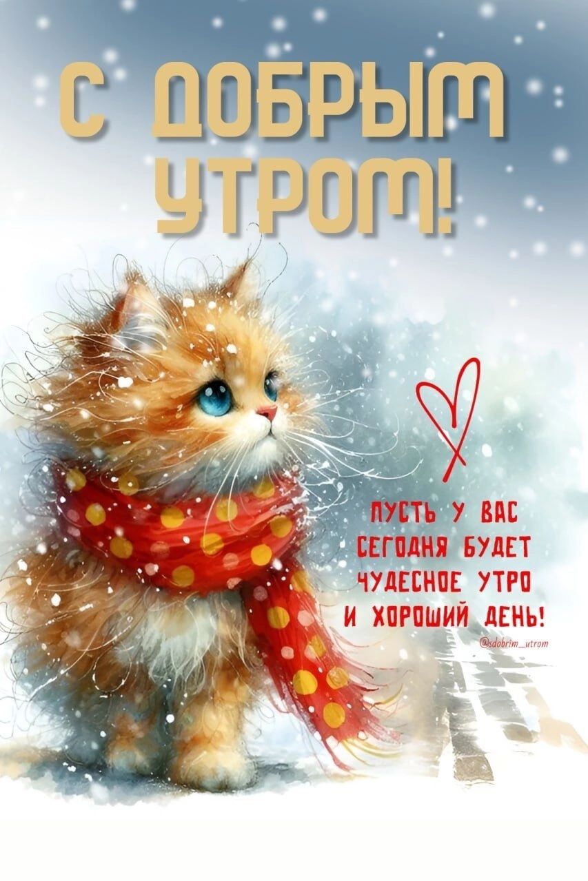 С ДОБРЫМ УТРОМ! Пусть у вас сегодня будет чудесное утро и хороший день!