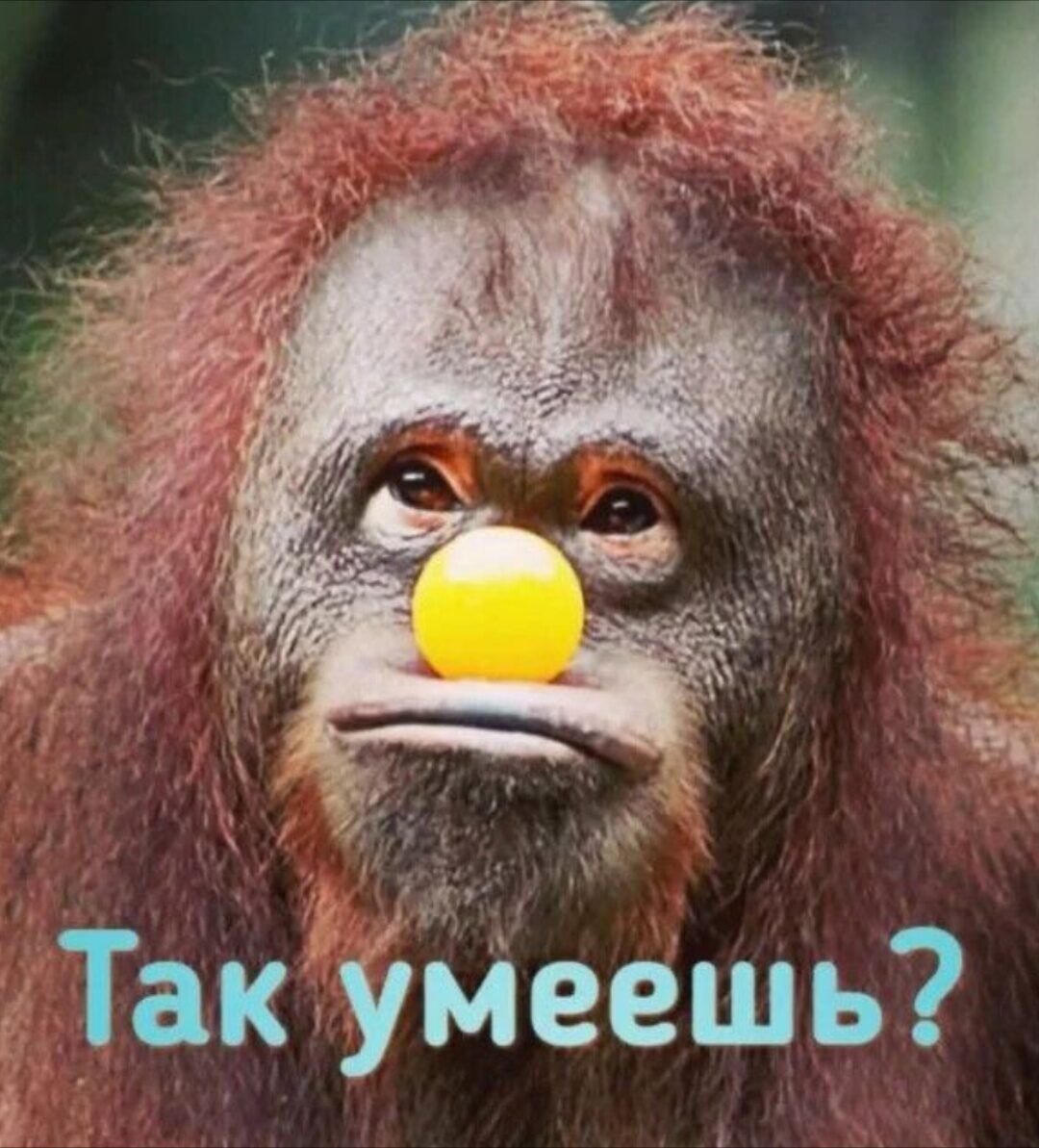 Так умеешь?