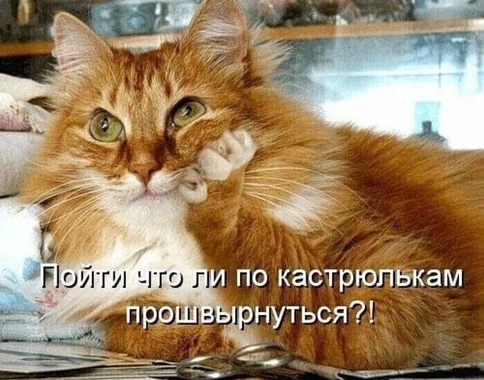 Пойти что ли по кастрюлькам прошвырнуться?!