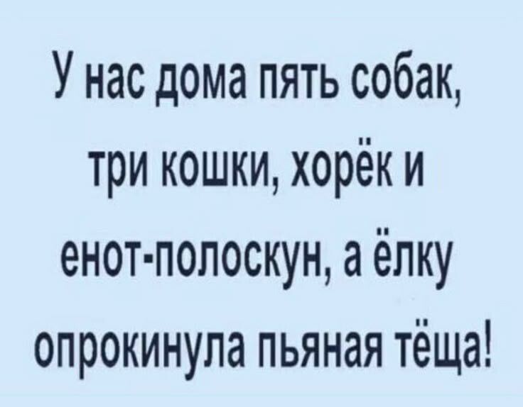 У нас дома пять собак, три кошки, хорёк и енот-полоскун, а ёлку опрокинула пьяная тёща!