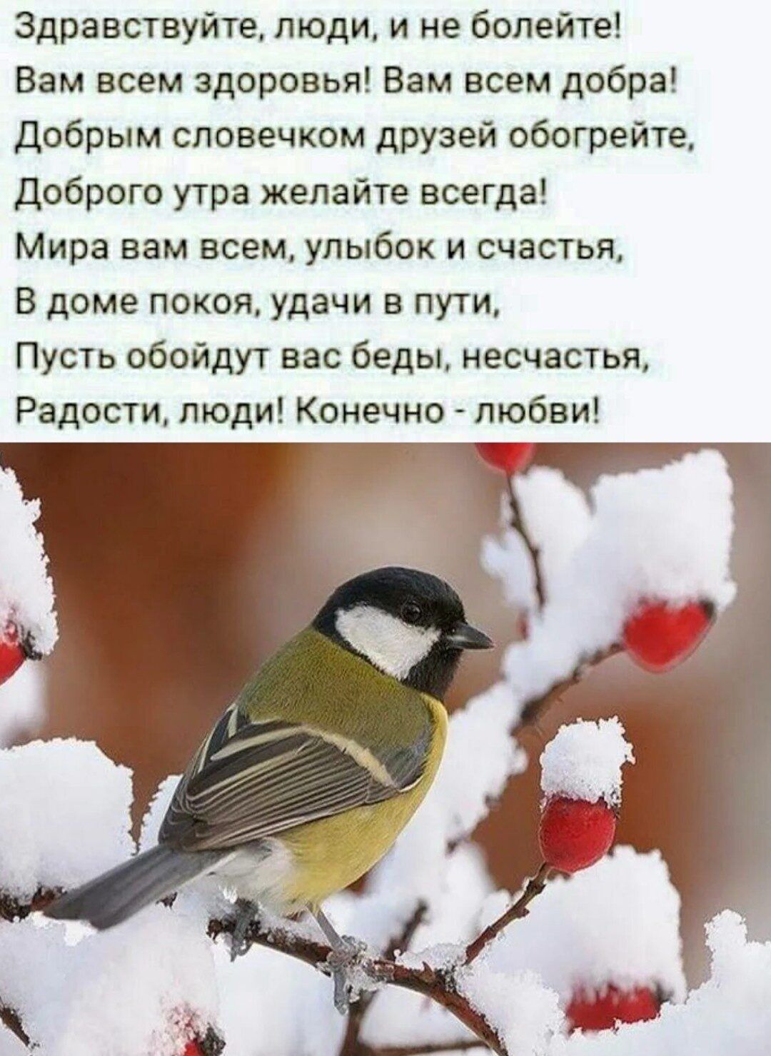 Здравствуйте, люди, и не болейте! Вам всем здоровья! Вам всем добра! Добрым словечком друзей обогрейте, Доброго утра желайте всегда! Мира вам всем, улыбок и счастья, В доме покоя, удачи в пути, Пусть обойдут вас беды, несчастья, Радости, люди! Конечно - любви!