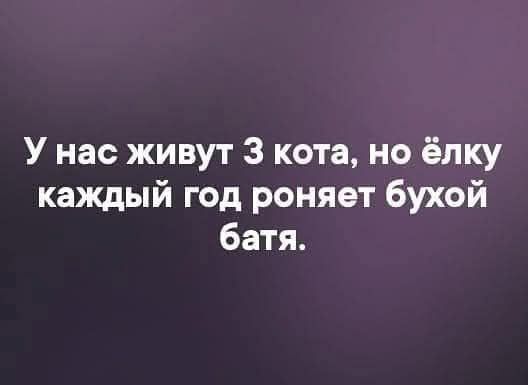 У нас живут 3 кота, но ёлку каждый год роняет бухой батя.
