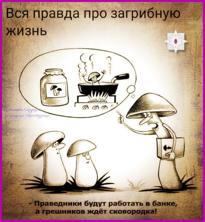 Вся правда про загибную жизнь
Праведники будут работать в банке, а грешников ждёт сковородка!