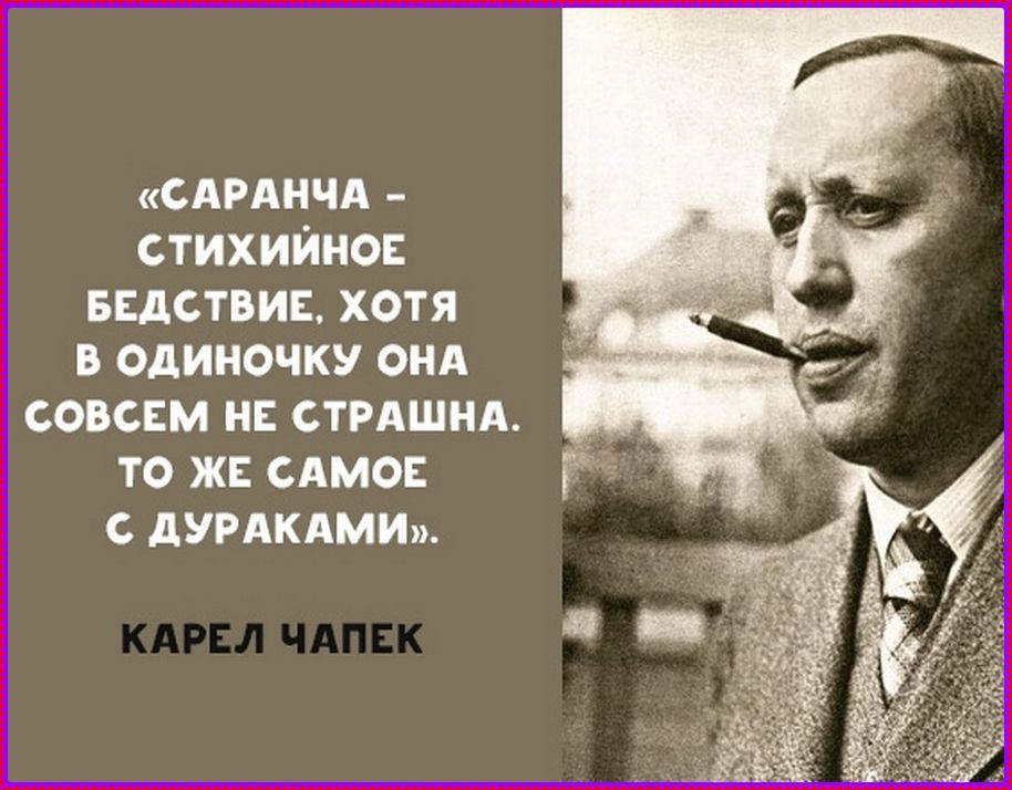 «Саранча - стихийное бедствие, хотя в одиночку она совсем не страшна. То же самое с дураками». Карел Чапек