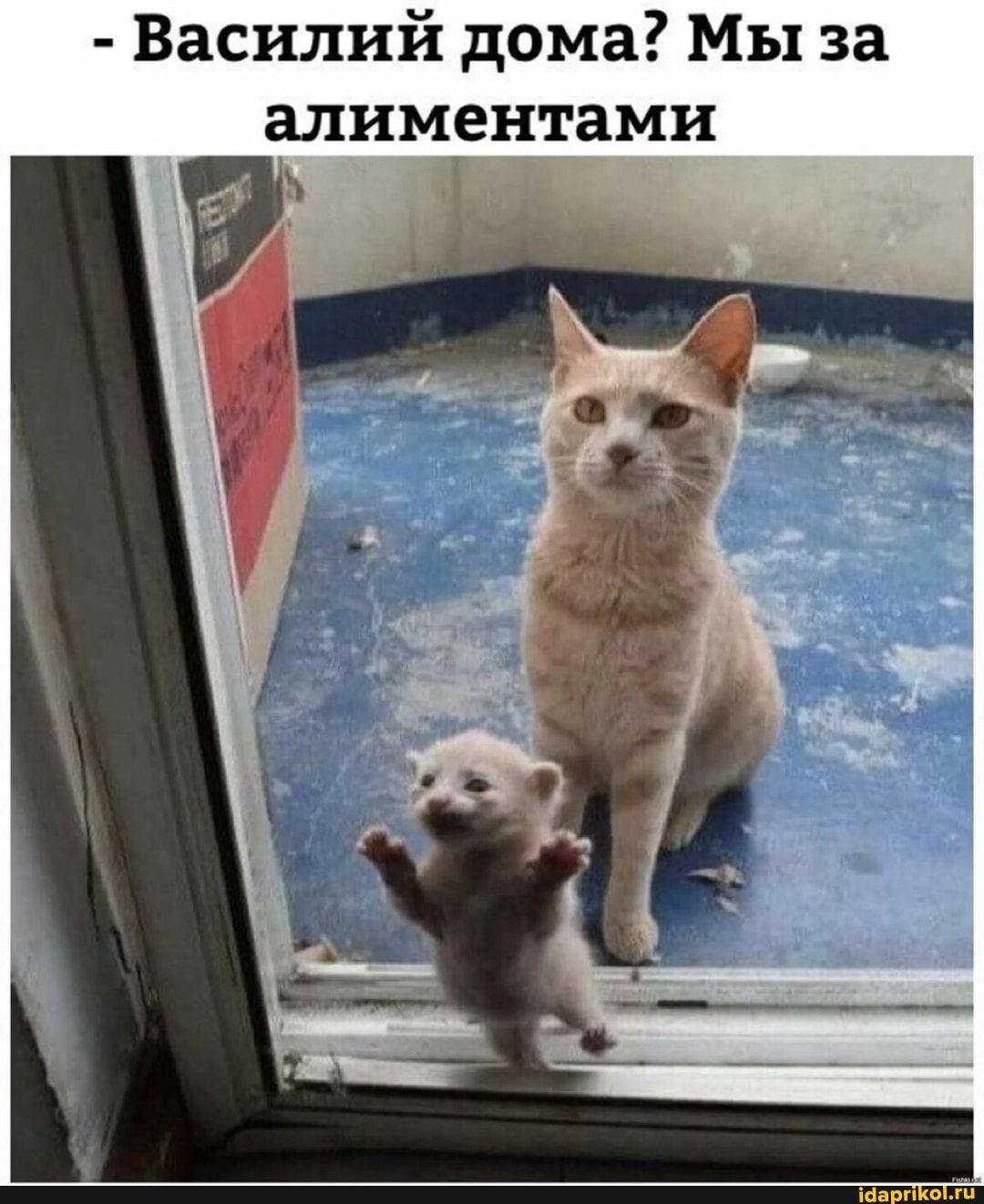 - Василий дома? Мы за алиментами