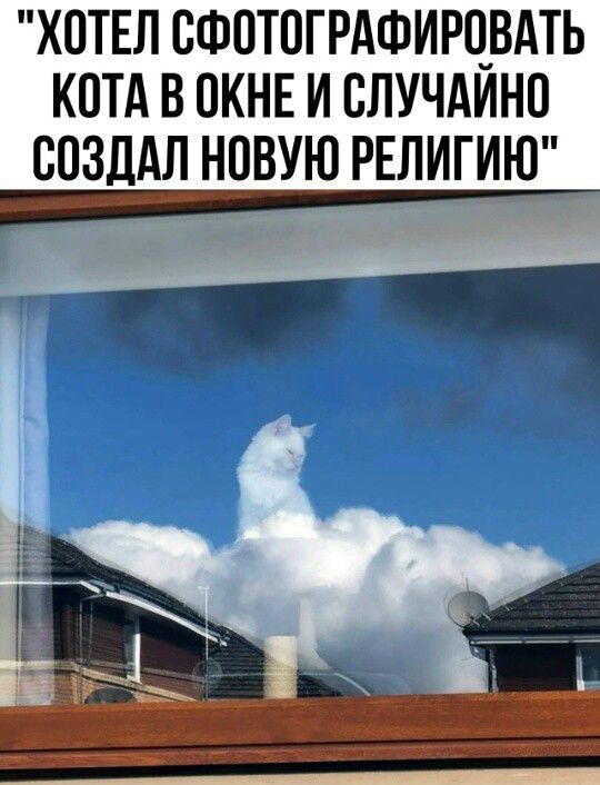 Хотел сфотографировать кота в окне и случайно создал новую религию