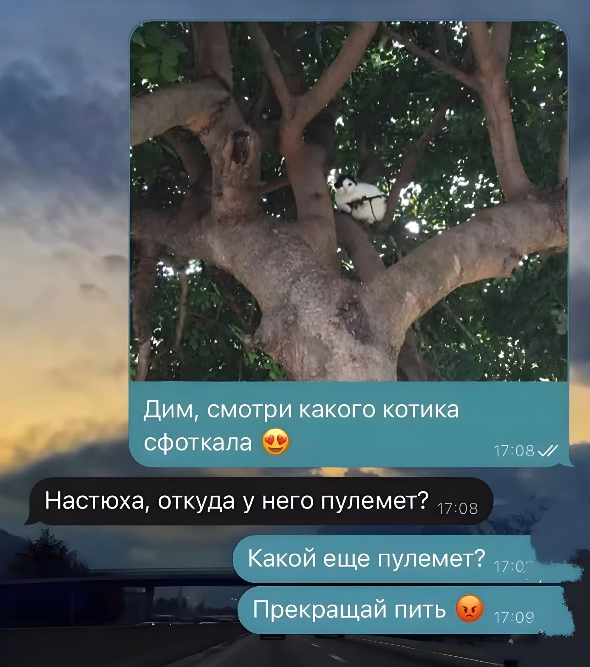 Дим, смотри какого котика сфоткала 😍
Настюха, откуда у него пулемет?
Какой еще пулемет?
Прекращай пить 😡