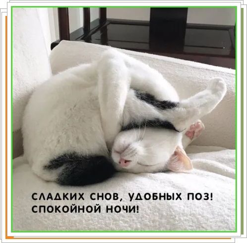 Сладких снов, удачных поз! Спокойной ночи!