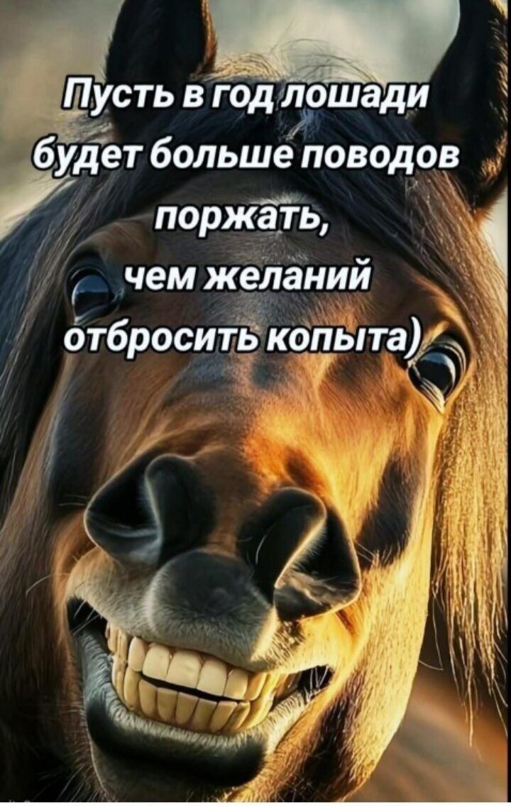 Пусть в год лошади будет больше поводов поржать, чем желаний отбросить копыта