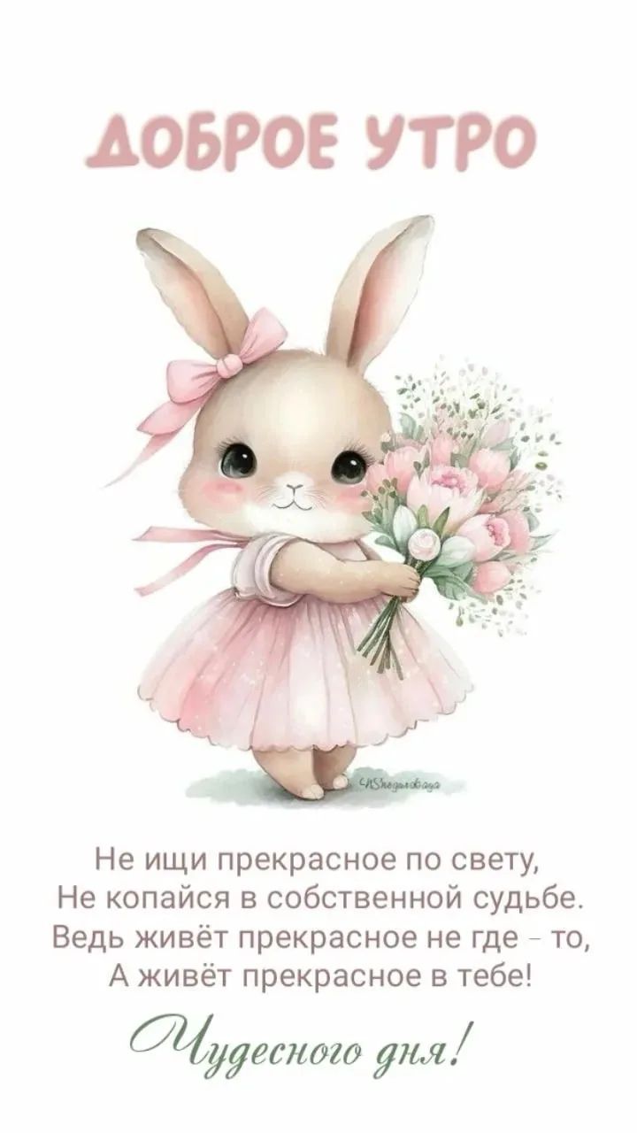 Доброе утро. Не ищи прекрасное по свету, Не копайся в собственной судьбе, Ведь живёт прекрасное не где – то, А живёт прекрасное в тебе! Чудесного дня!