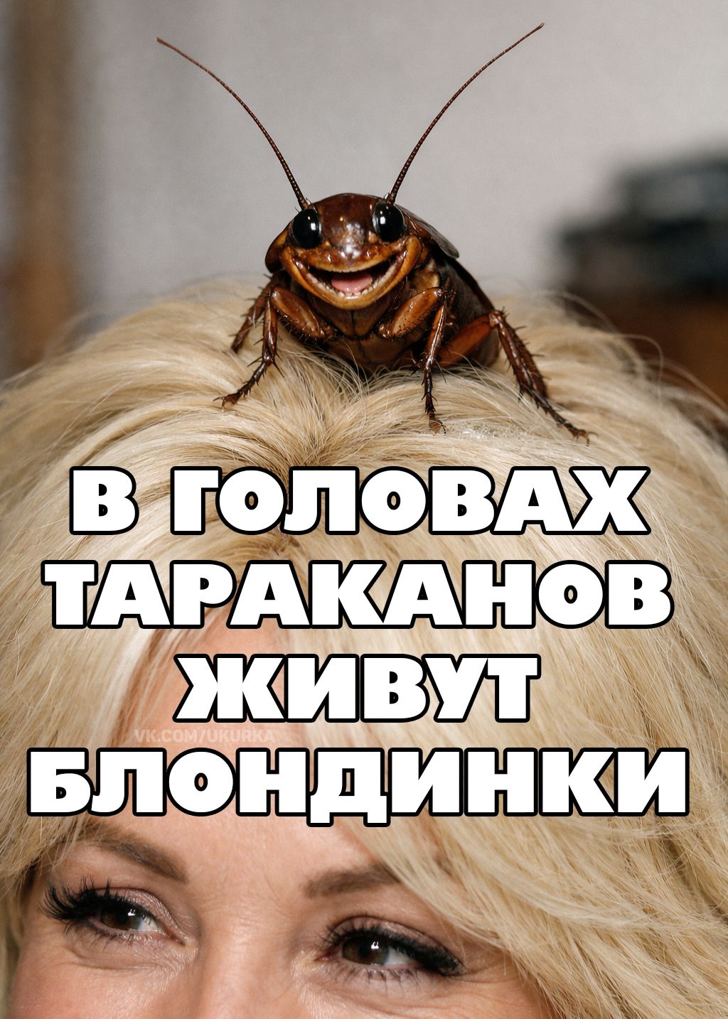 В ГОЛОВАХ ТАРАКАНОВ ЖИВУТ БЛОНДИНКИ