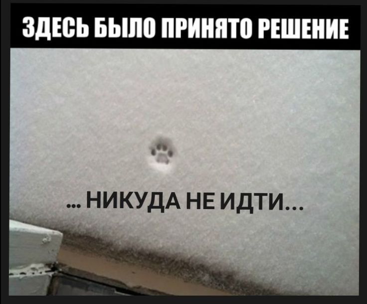 ЗДЕСЬ БЫЛО ПРИНЯТО РЕШЕНИЕ ... НИКУДА НЕ ИДТИ...
