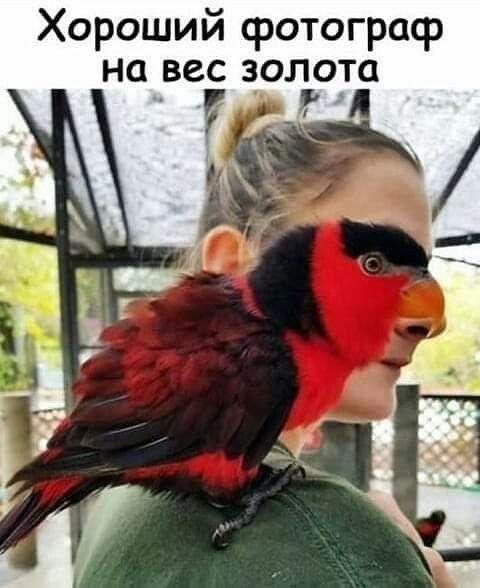 Хороший фотограф на вес золота