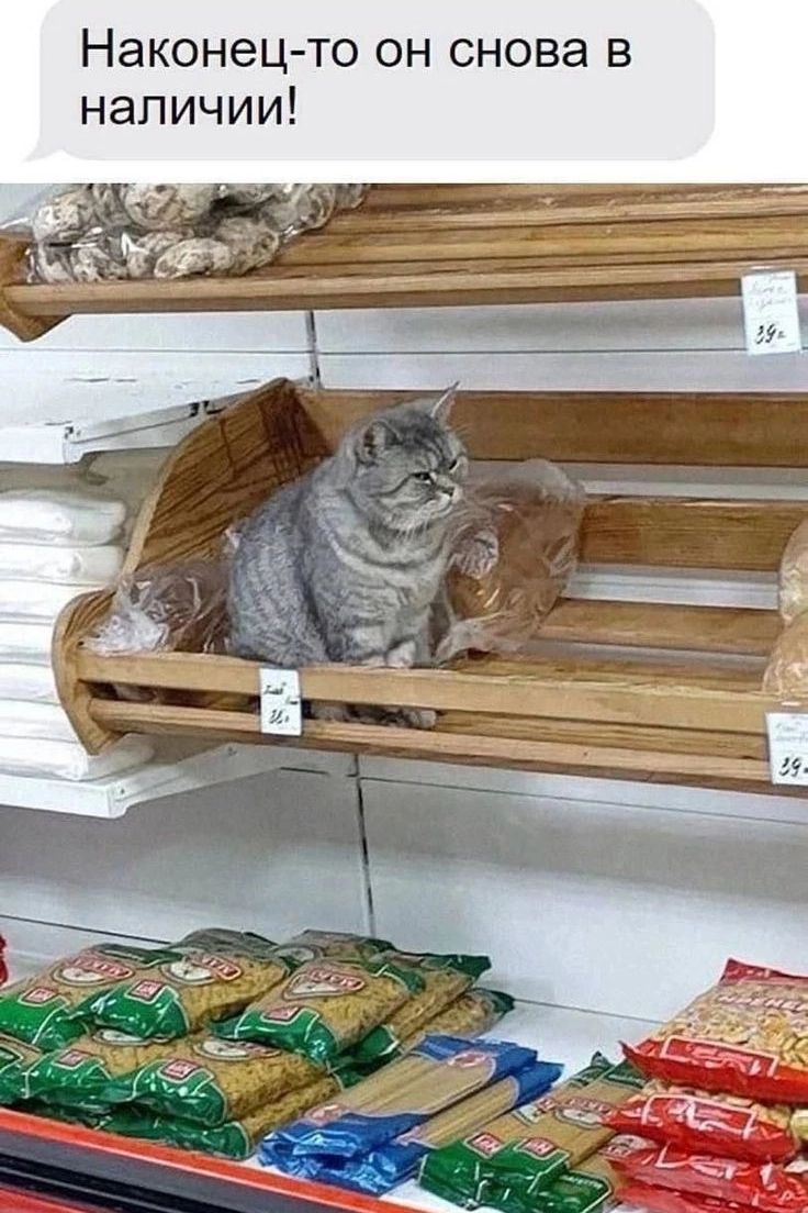 Наконец-то он снова в наличии!