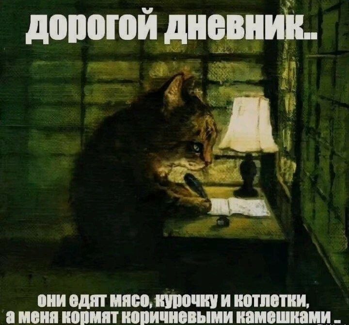 дорогой дневник.. они едят мясо, курочку и котлетки, а меня кормят коричневыми камешками..