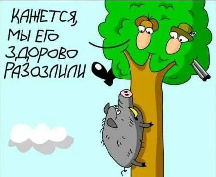 КАНЕТСЯ, МЫ ЕГО ЗДОРОВО РАЗОЗЛИЛИ