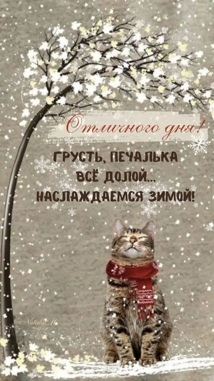 Отличного дня! ГРУСТЬ, ПЕЧАЛЬКА ВСЁ ДОЛОЙ.. Наслаждаемся зимой